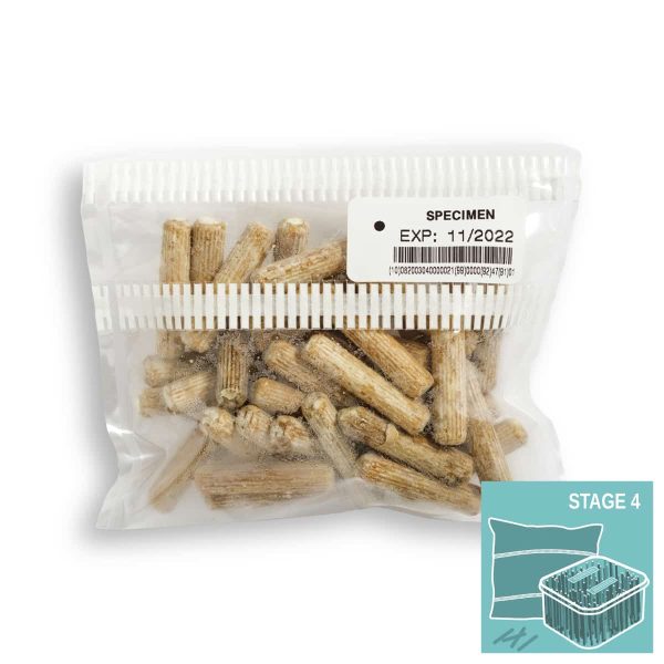 M2191 Pleurotus ostreatus - Wood plugs - 50 pcs - Image 2